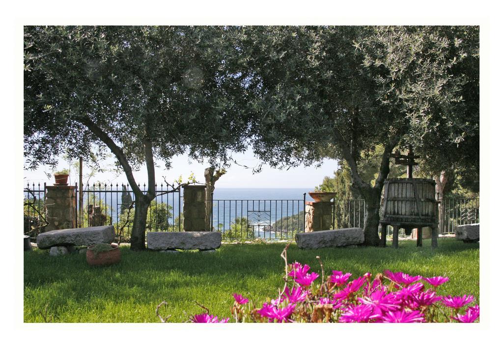 Villa Michela Tra Cielo E Mare 加埃塔 客房 照片